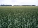 p7090044-w560.jpg