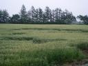 p7090056-w560.jpg