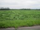img_0157-w800.jpg