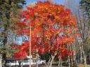 img_0419-w720.jpg