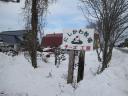 img_0533-w480.jpg